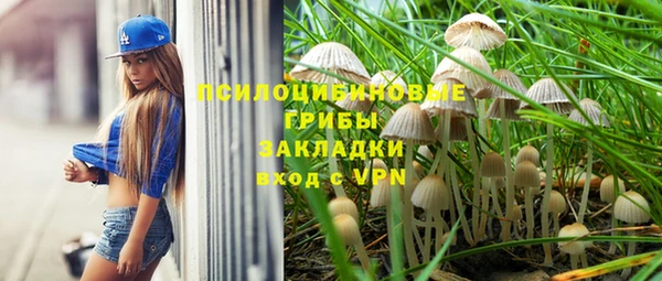 винт Новодвинск