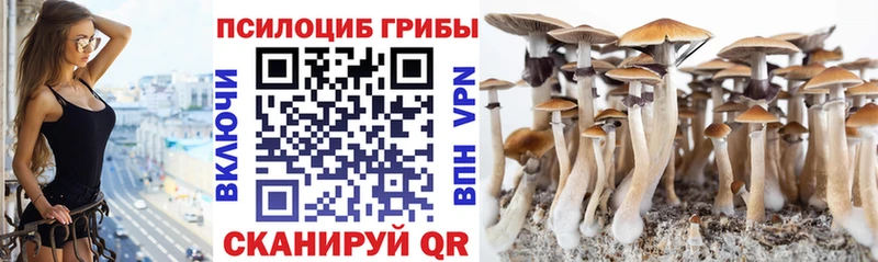 Псилоцибиновые грибы GOLDEN TEACHER  Красноярск 