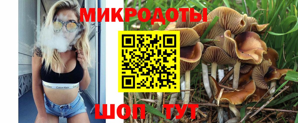 Галлюциногенные грибы Magic Shrooms  Псилоцибиновые грибы мицелий  Красноярск  Вход с VPN 