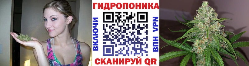 сайты даркнета какой сайт  купить  цена  Красноярск  Бошки марихуана AK-47 